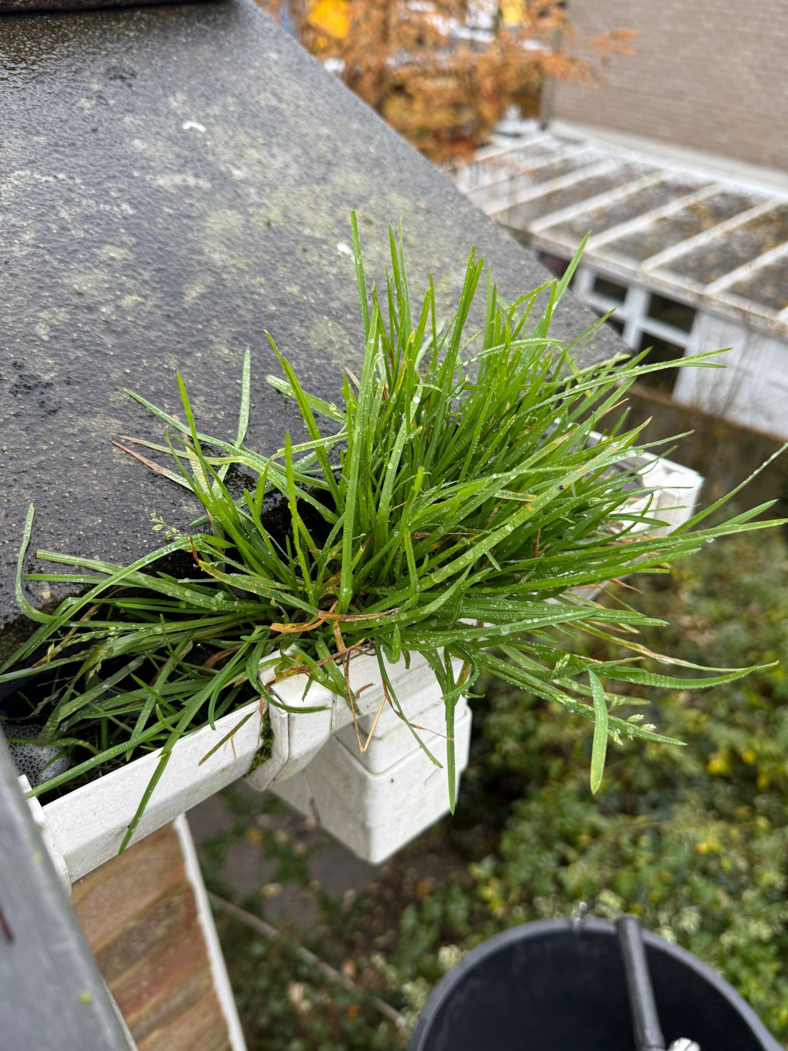 Blocked gutter downpipe  - Headley Gutter Clearance is the solution!